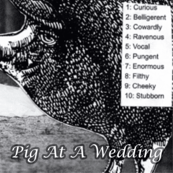 Pig At A Wedding