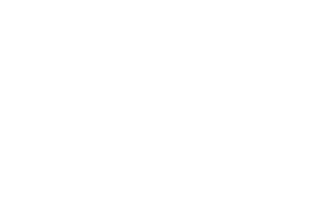 Havoc Engine Logo
